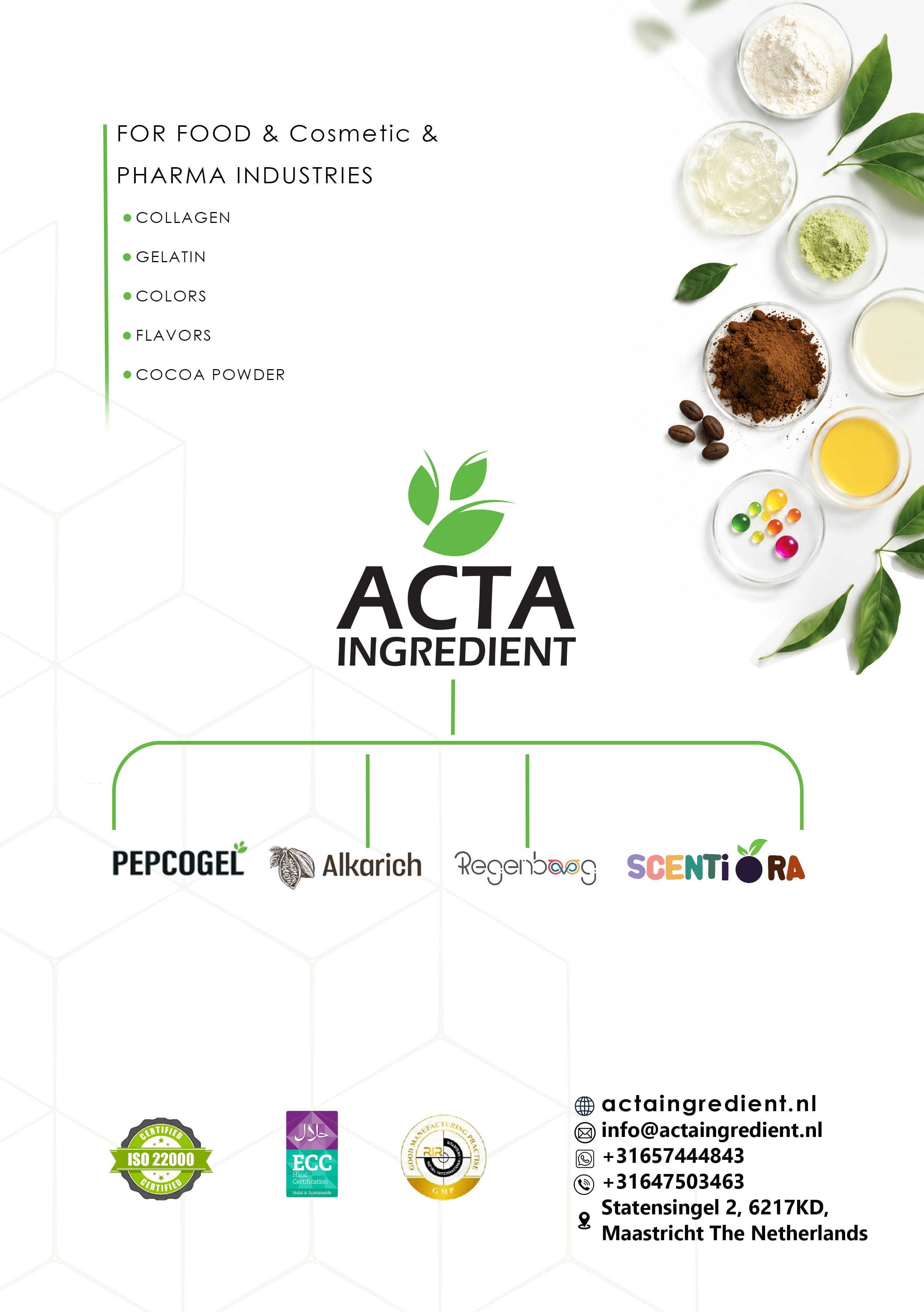 ACTA Ingredient catalog — page 1