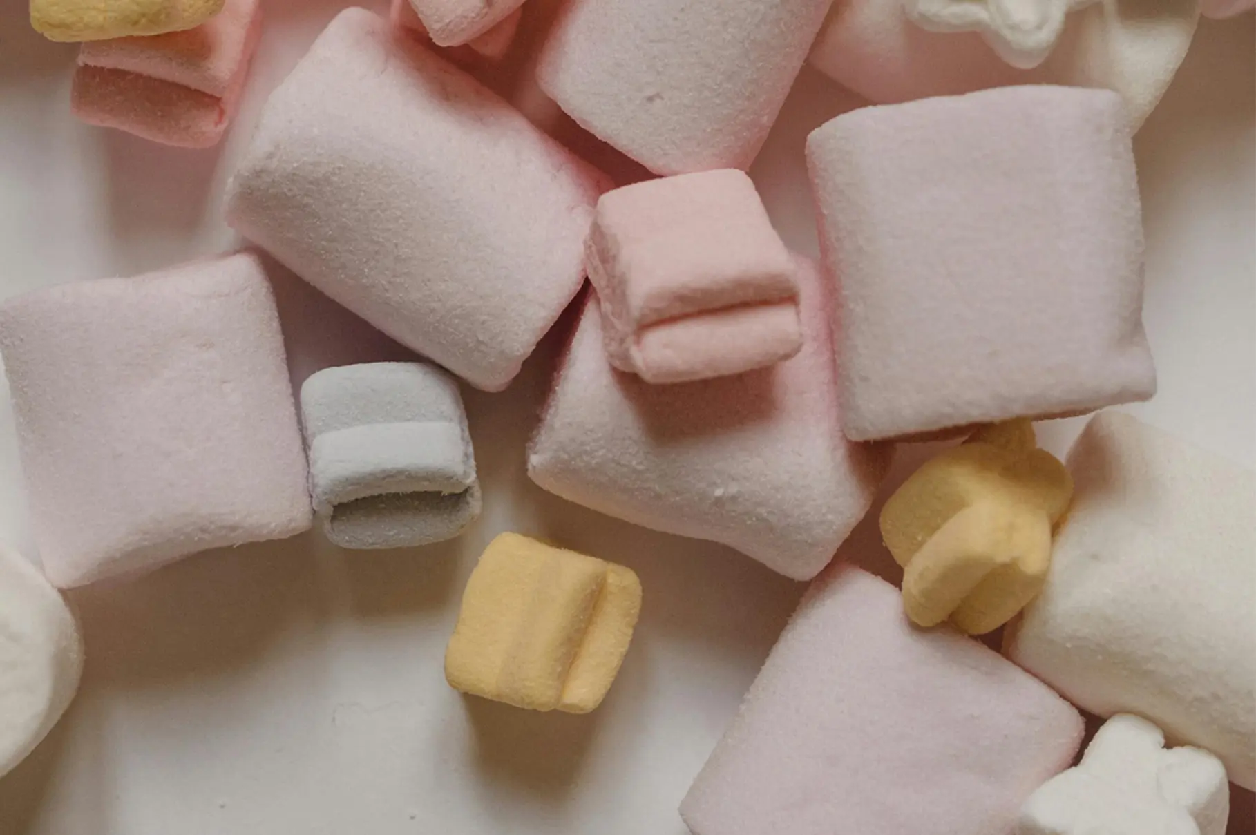 Actaingredient-Gelatin