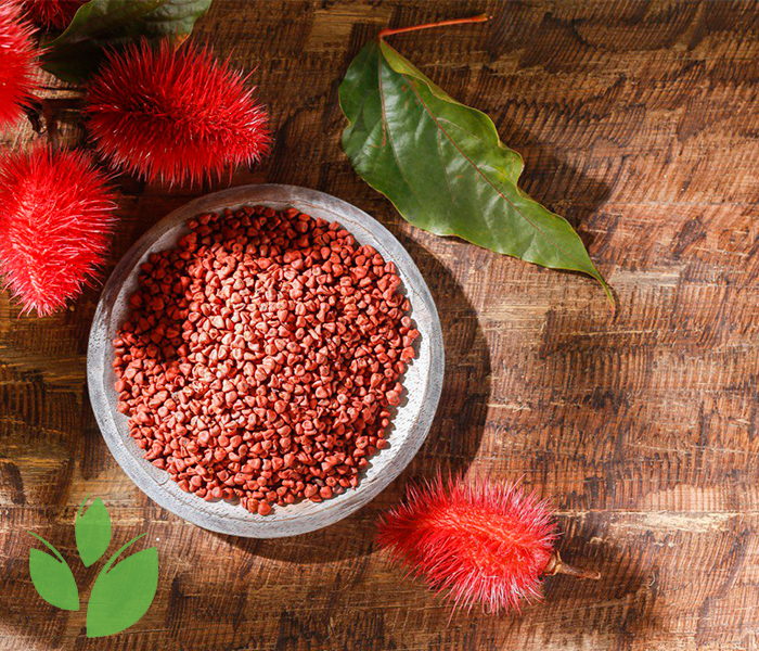 Achiote tree and annatto seeds