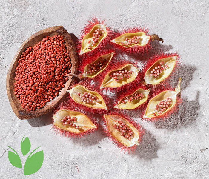 Annatto antioxidant benefits