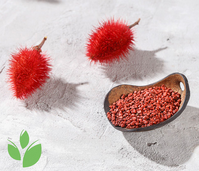 Bixin and Nor-Bixin extraction process