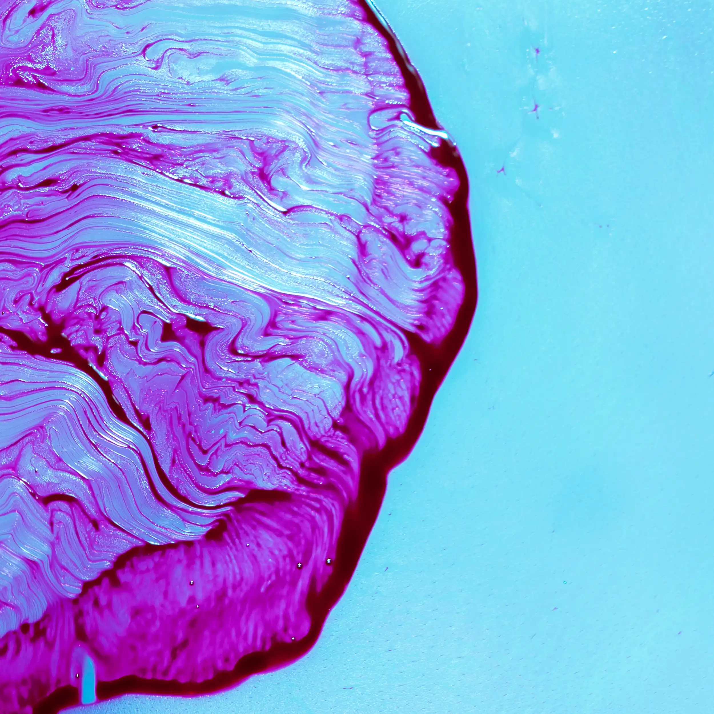 Anthocyanins used as natural food colors